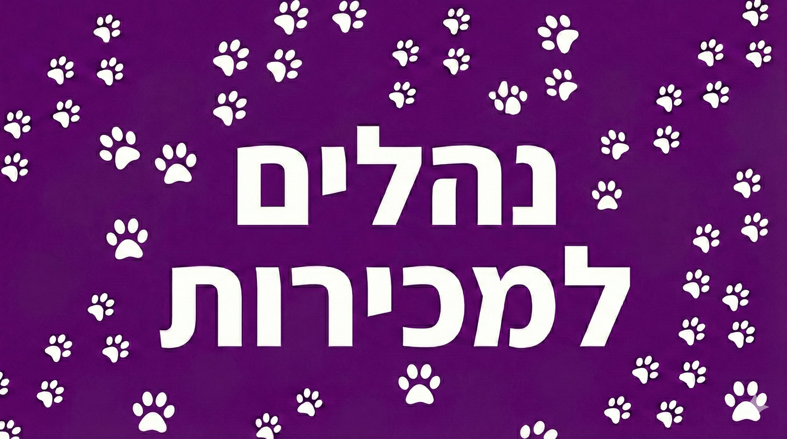 מוגן: נהלים למכירות